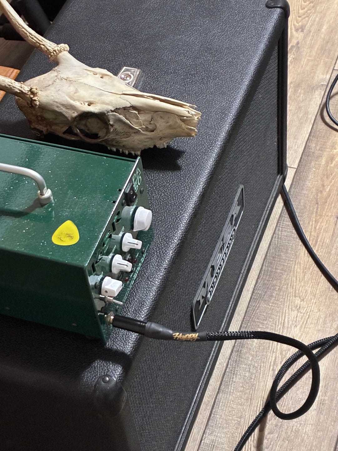 Customer photo review of The Elite Instrument Cable - Black