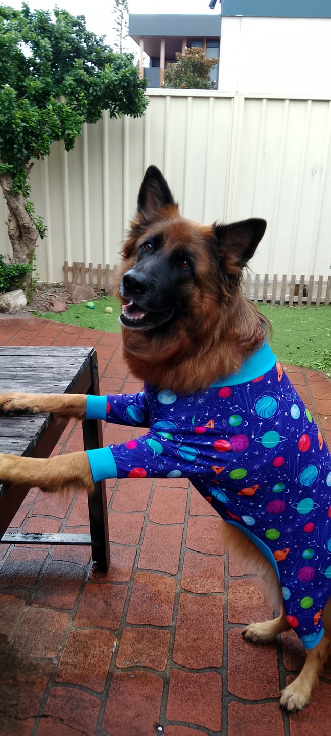 Customer photo review of Dog Pajama - Planets