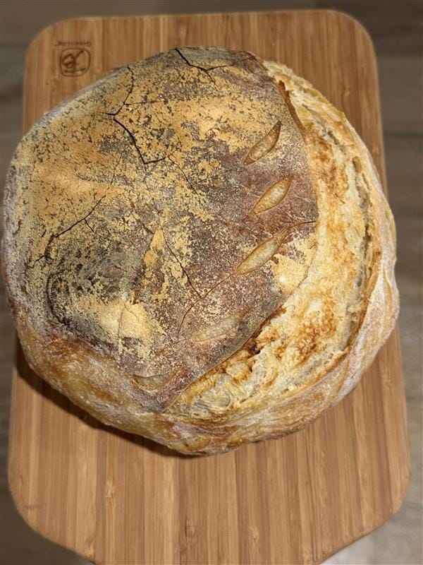 Customer photo review of Sourdough Starter Kit –  Complete Bread Baking Kit for Beginners