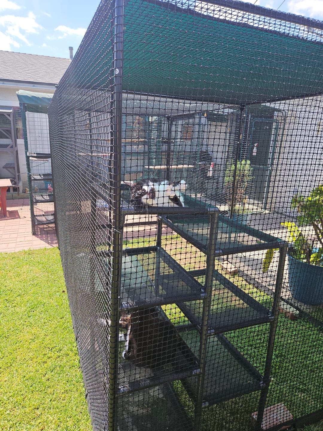 Customer photo review of Durable Cat Tower - Haven