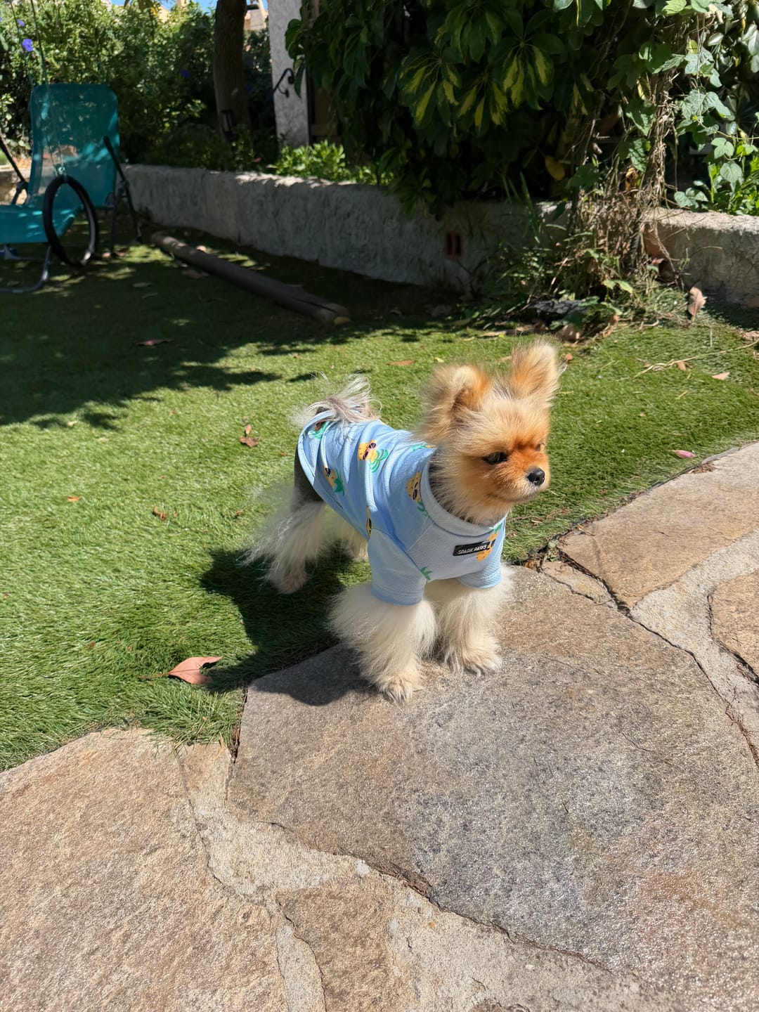 Customer photo review of Sunblock T-Shirt 3 Pack