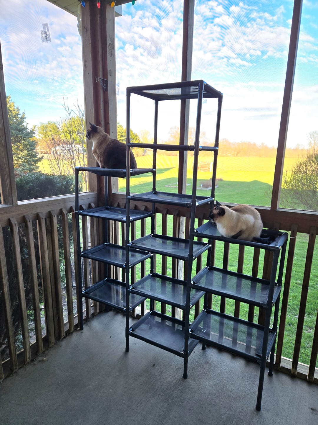 Customer photo review of Durable Cat Tower - SkyRise