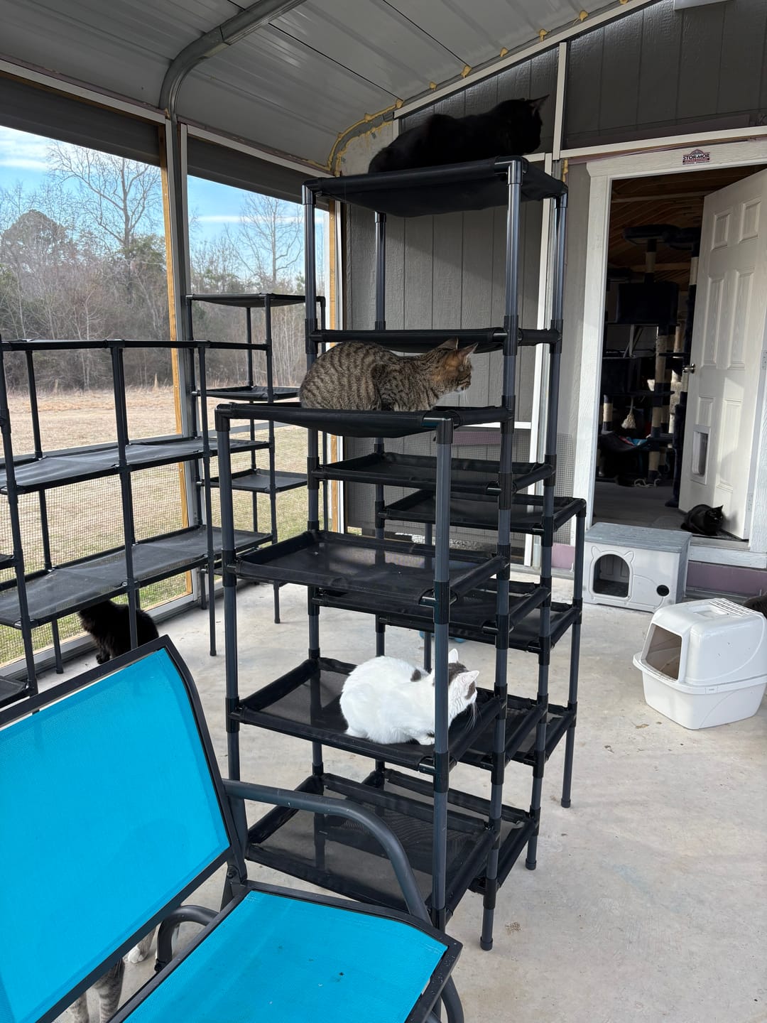 Customer photo review of Durable Cat Tower - SkyRise