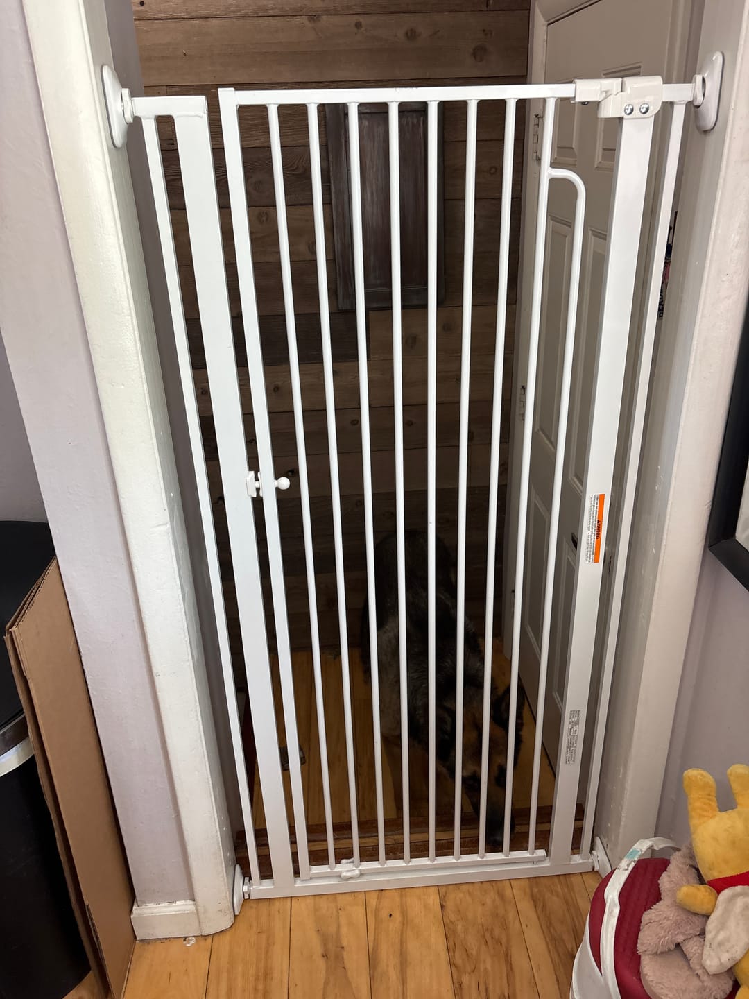 Customer photo review of FairyBaby 57" Extra Tall Pet Gate for  Big Dogs and Curious Climbers