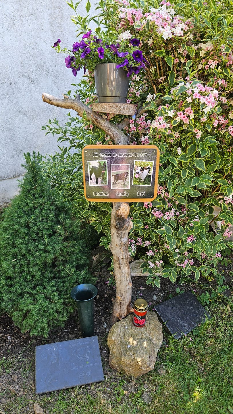 Customer photo review of Hunde-Türschild personalisiert mit Foto & Text (UV- und wetterfest)