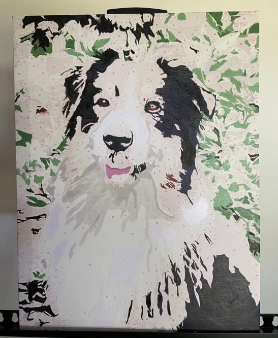 Customer photo review of Custom Paint By Numbers - Personalized Pet Portraits