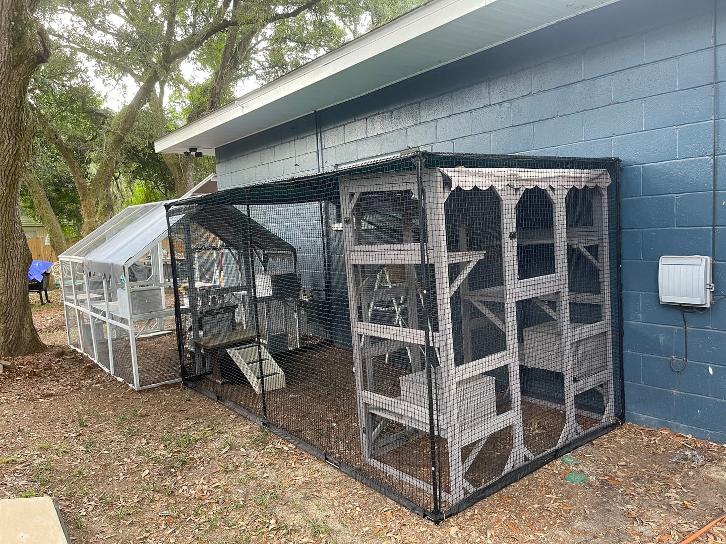 Customer photo review of Cat Enclosure | XL