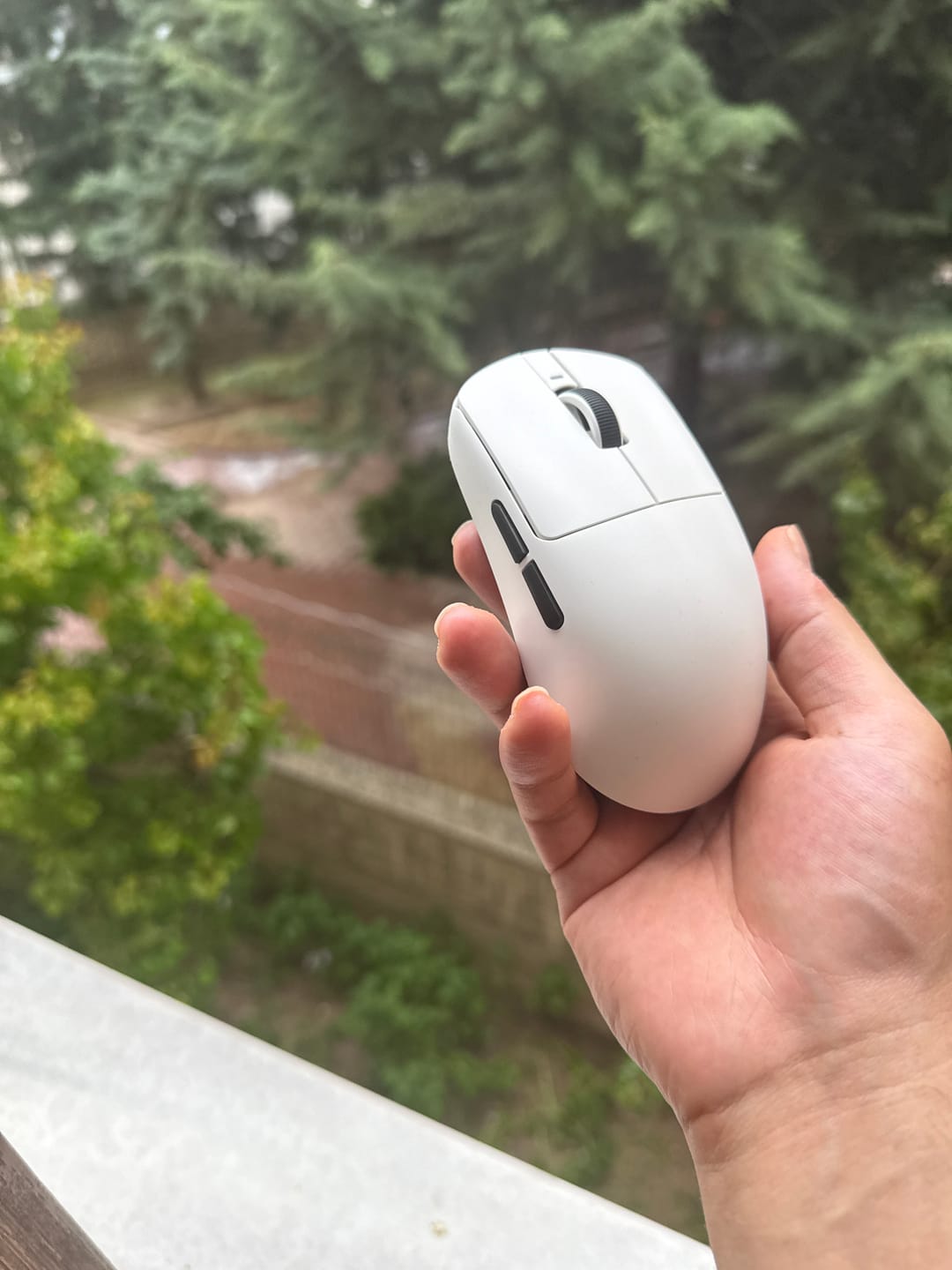 Customer photo review of VXE Dragonfly R1 Wireless Mouse