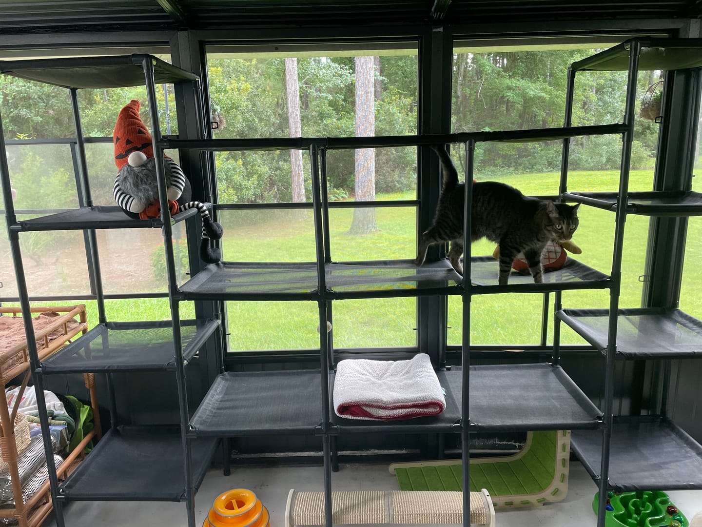 Customer photo review of Durable Cat Tower - Vista