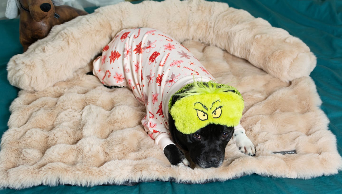 Customer photo review of Calming Fluffy Couch Cover Dog Bed - Beige