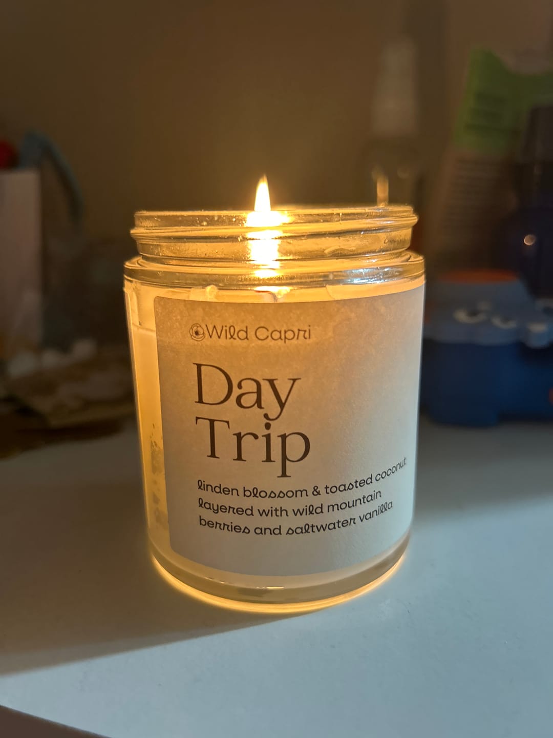 Customer photo review of Day Trip Candle
