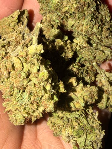 Customer photo review of Gorilla Glue THCA Flower