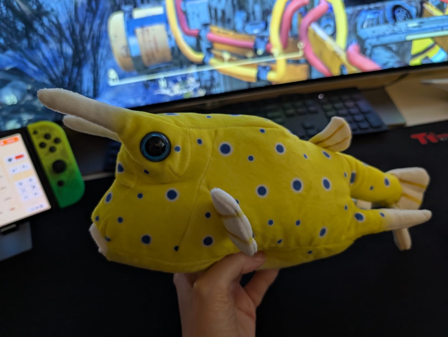 Customer photo review of Longhorn Cowfish Soft Stuffed Plush Toy
