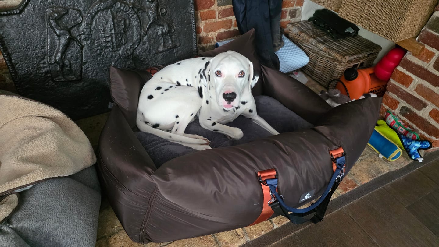 Customer photo review of Travel Dog Pod XL - Now With Isofix
