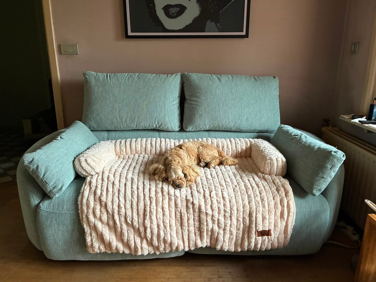 Customer photo review of Pet Perfect Luxe Bankbeschermer
