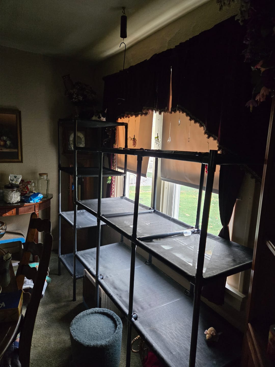Customer photo review of Durable Cat Tower - Vista