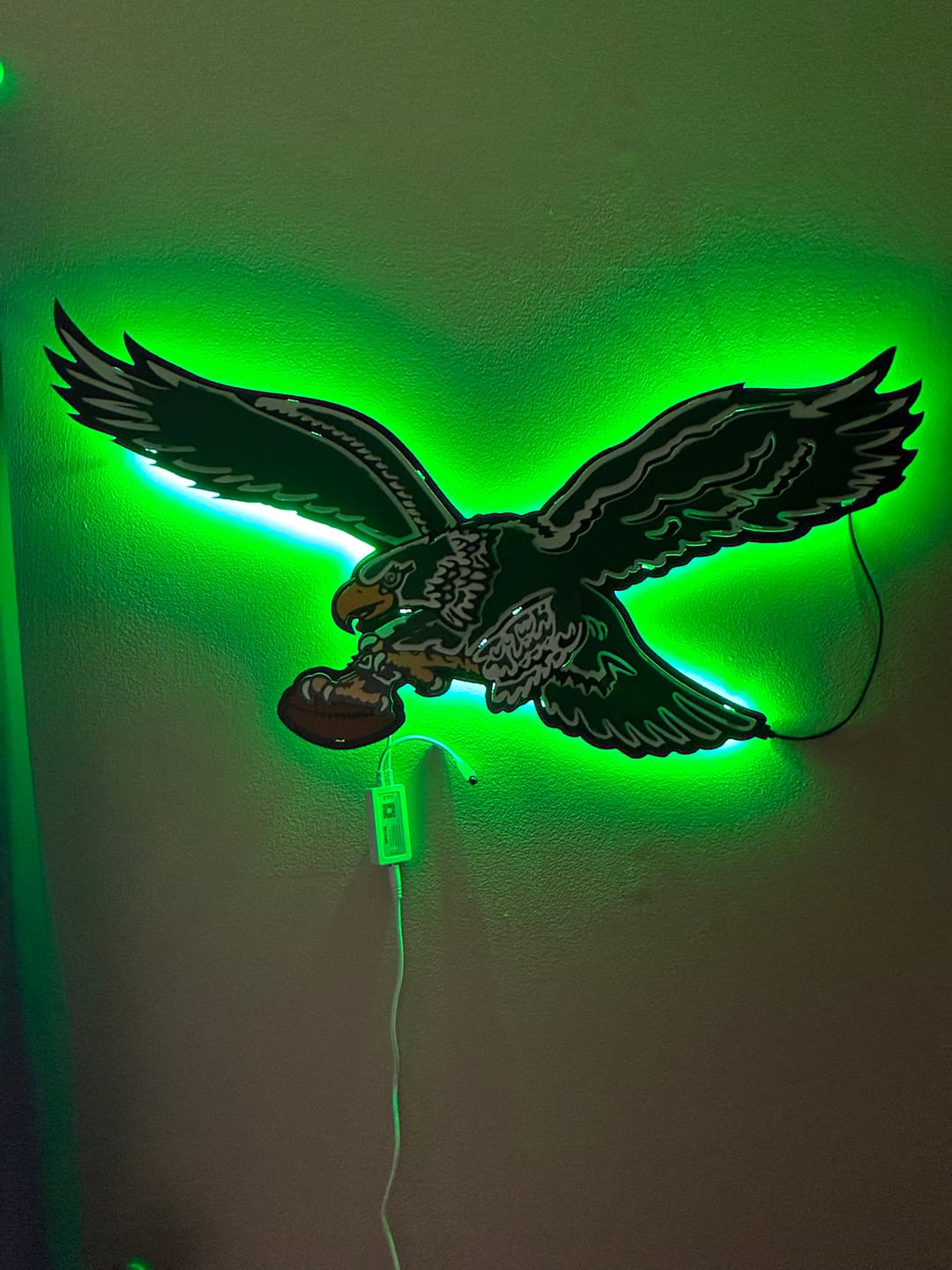 Customer photo review of Philadelphia Eagles "1987" Throwback 3D Vintage Metal Wall Art