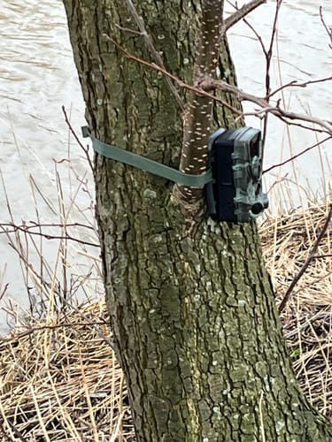 Customer photo review of Strex Wildcamera met Nachtzicht - 120MP 4K ULTRA HD - Waterdicht - Incl. 32 GB SD - Wild Camera
