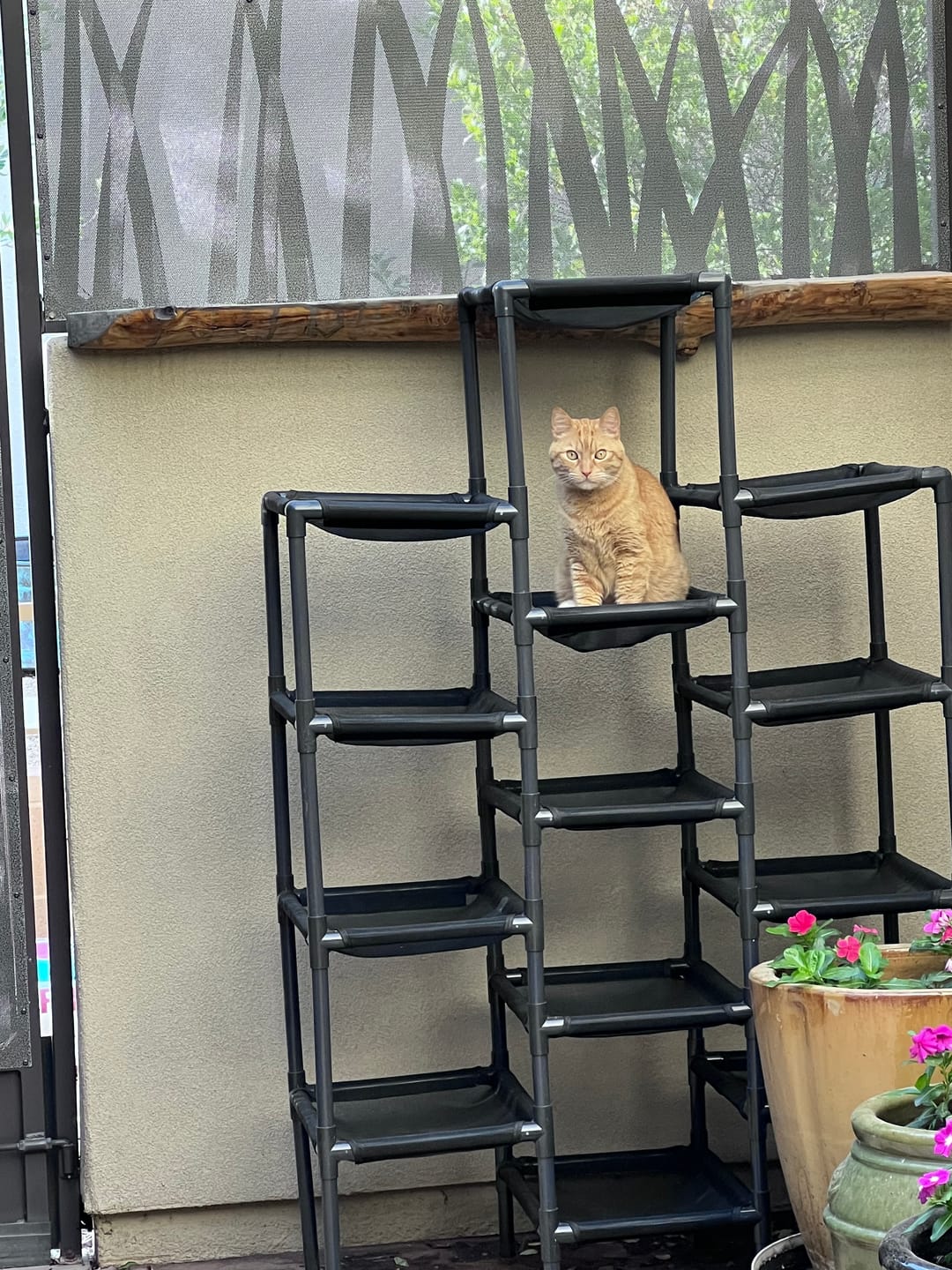 Customer photo review of Durable Cat Tower - SkyRise