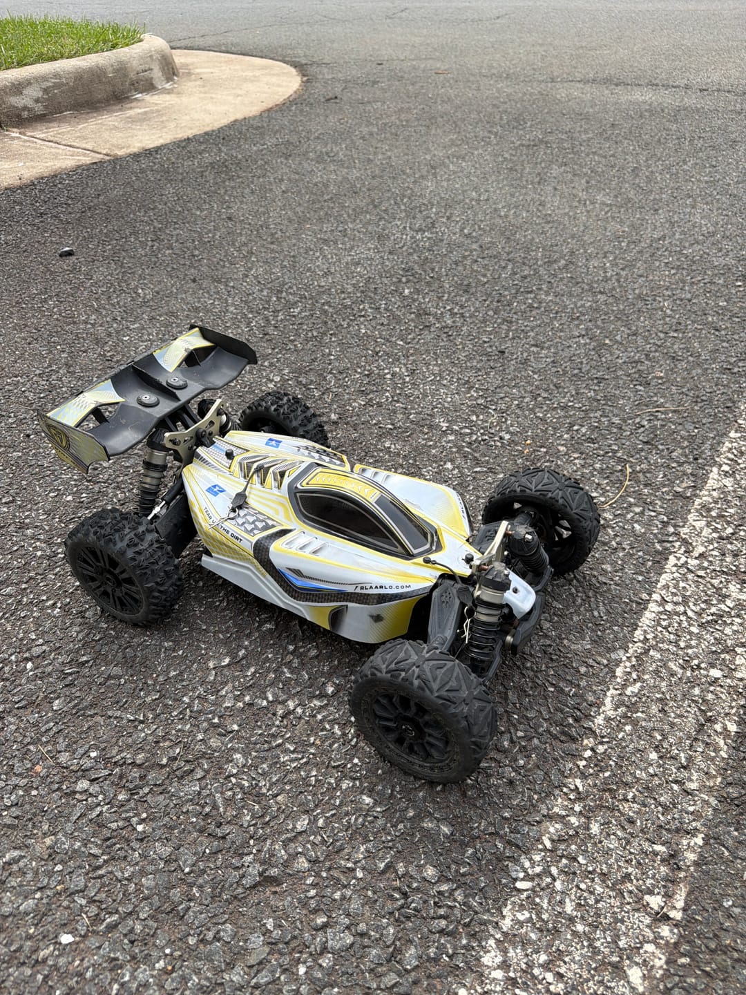 Customer photo review of Rlaarlo 1/8 4WD Buggy Dragon Scale Knight | DSK RTR