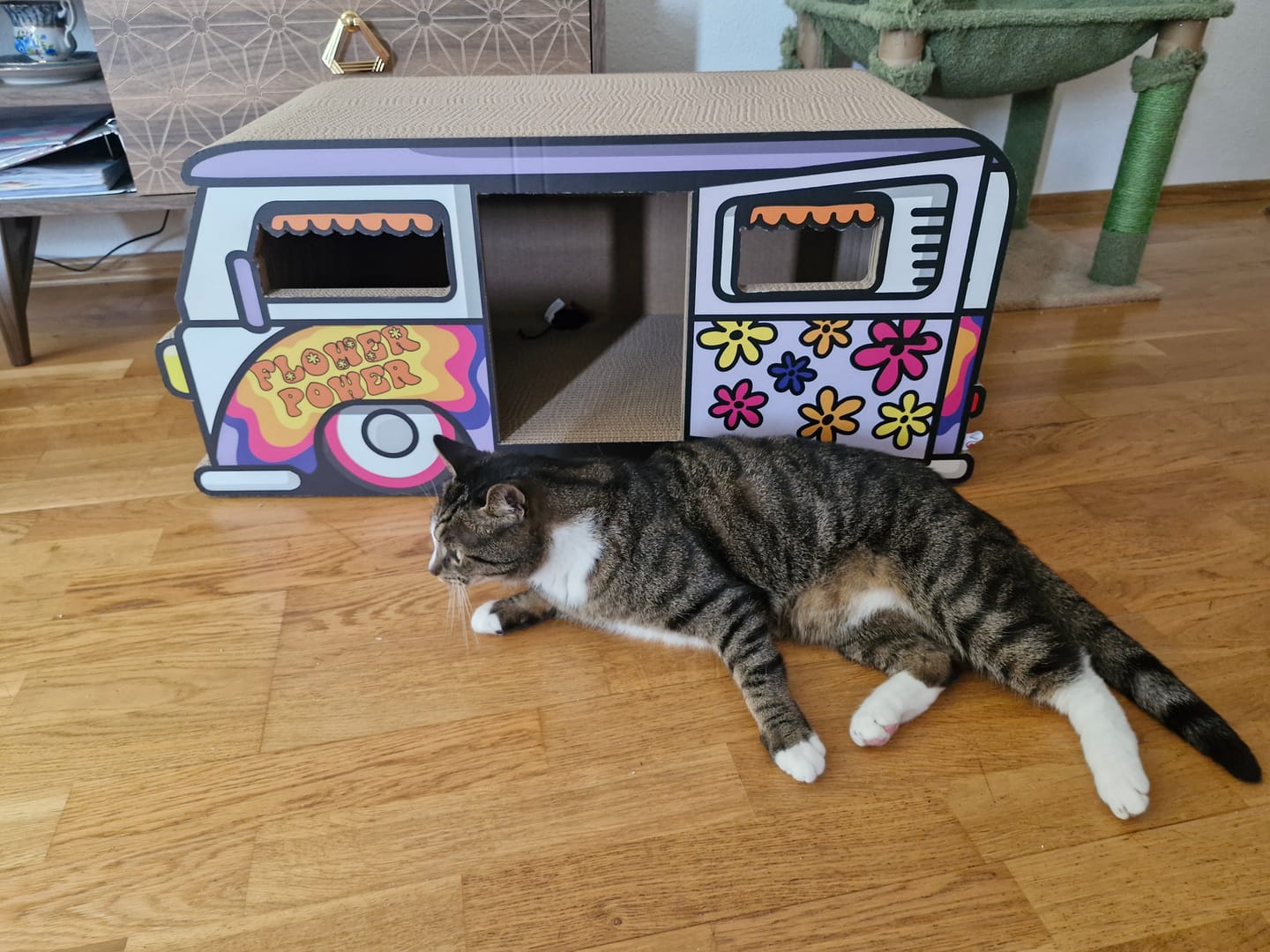 Customer photo review of Hippie-Camper XXL
