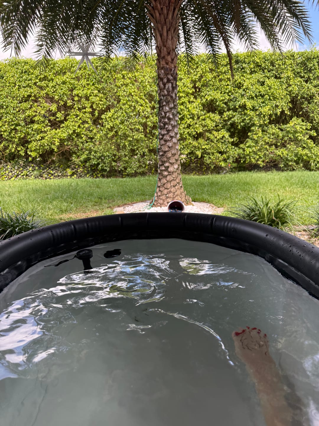 Customer photo review of The Long Pod