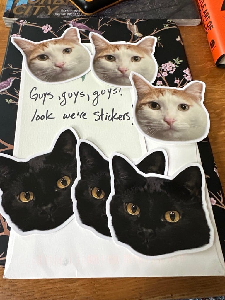 Customer photo review of Custom Sticker Sale - 3"