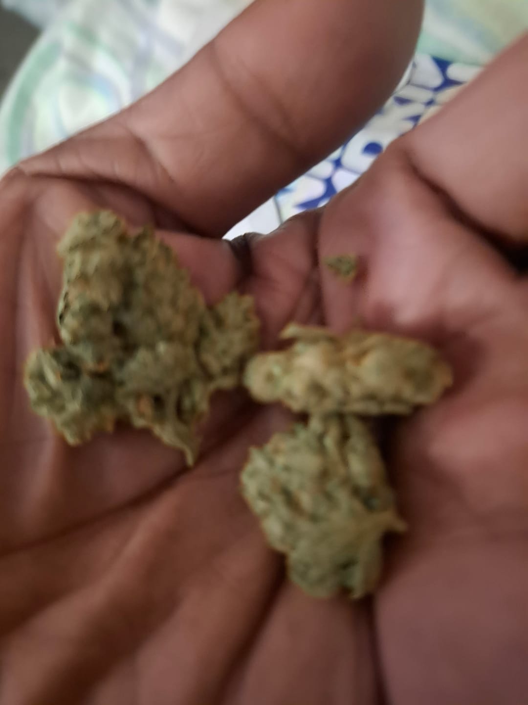 Customer photo review of Gorilla Glue - 14 Grams - Hybrid
