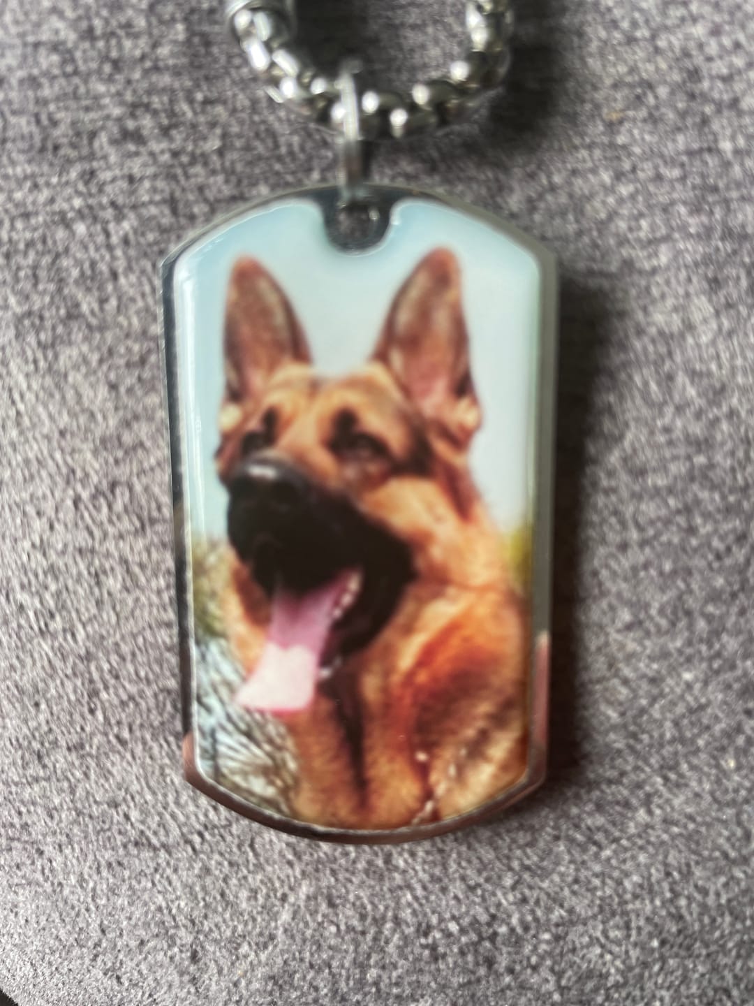 Customer photo review of Personalized Pet Keychain
