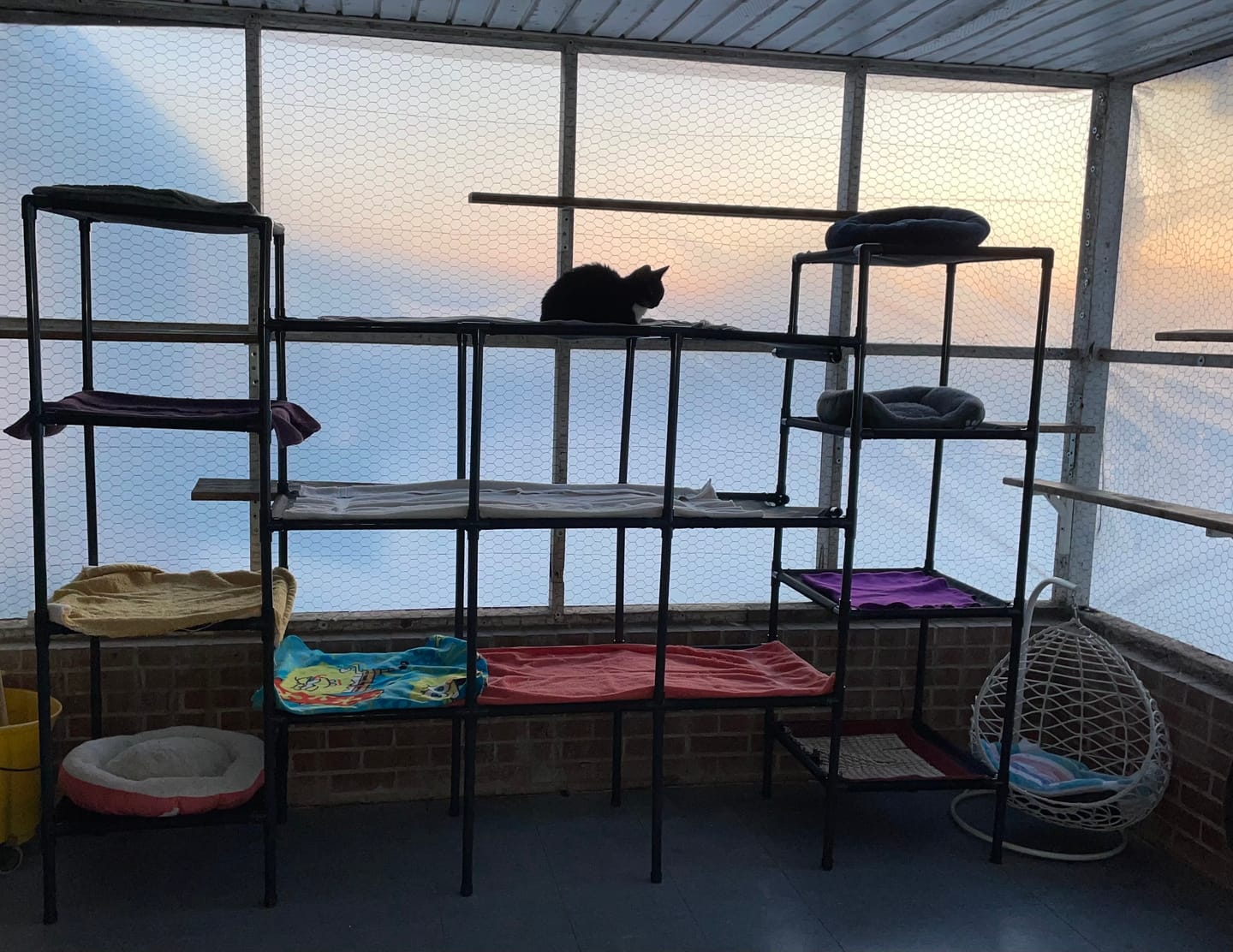 Customer photo review of Durable Cat Tower - Vista