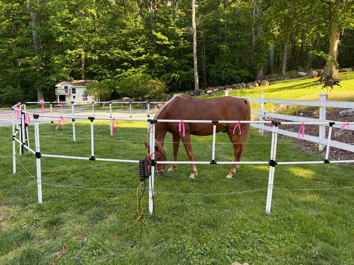 Customer photo review of Ready Made Portable Electric Horse Corral Fencing: (Electric EconoLine 10+2=12 Panels; 2 Rails)