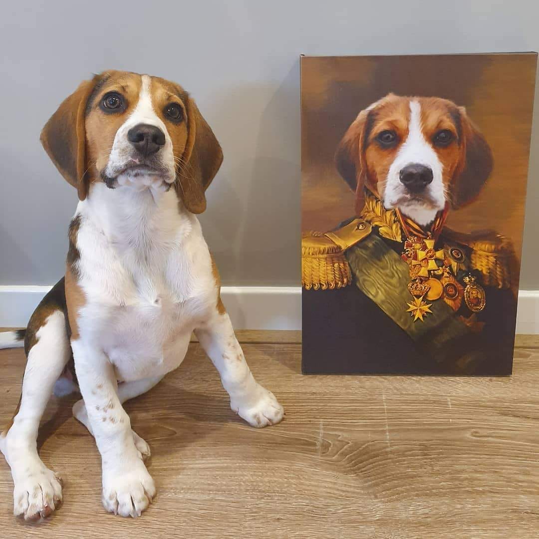 Customer photo review of Turn Your Pet Into A Royal Legend