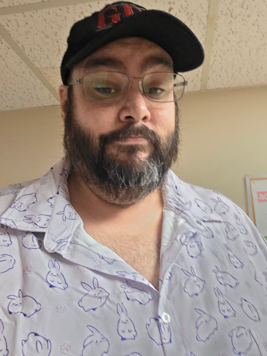 Customer photo review of Lilac Anime Bunnies Button Up Shirt