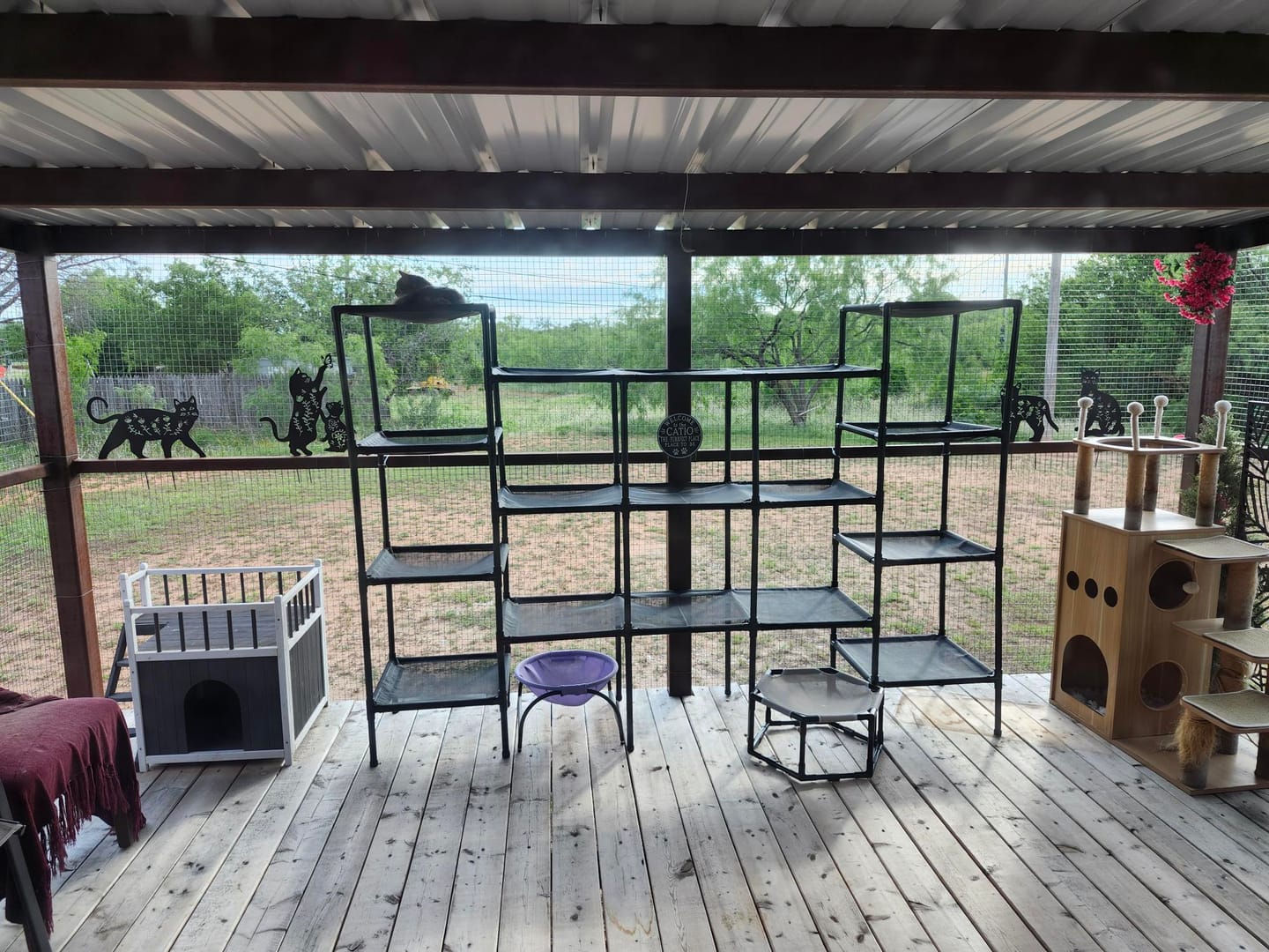 Customer photo review of Durable Cat Tower - Vista