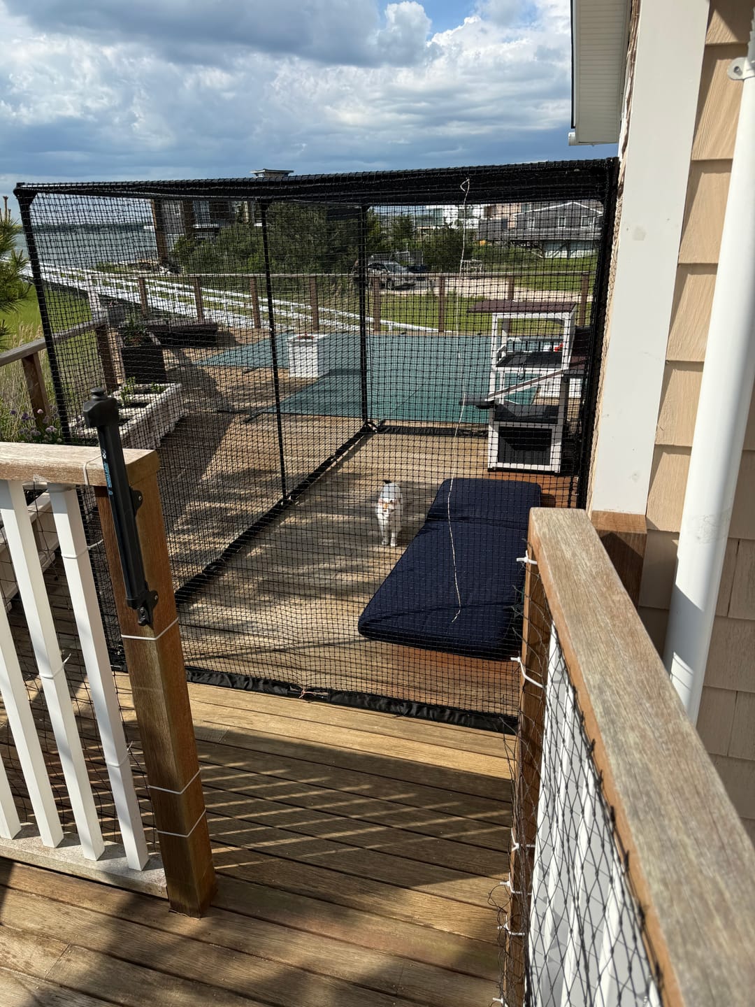 Customer photo review of Cat Enclosure | XL