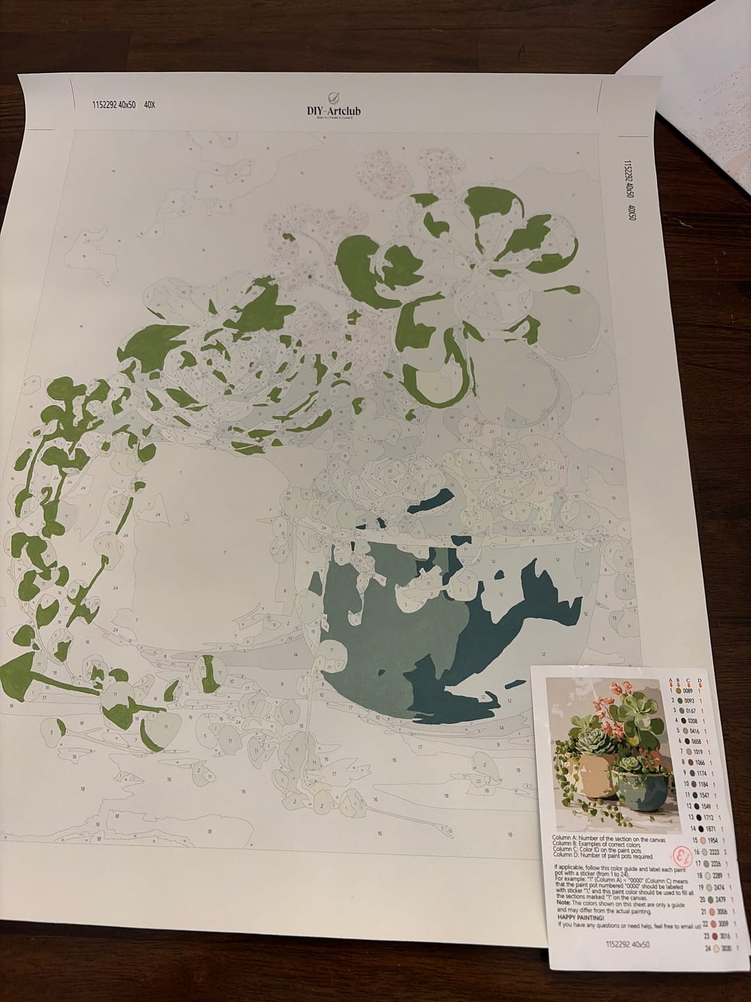 Customer photo review of Spring Succulents | Paint by Number