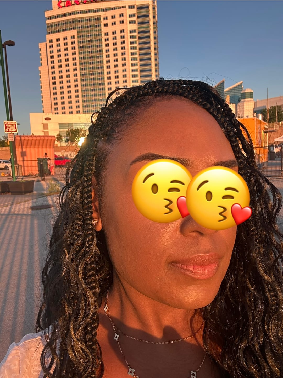 Customer photo review of Freetress Pre-Looped Crochet Braids - 3X BORA BORA BRAIDS 22"