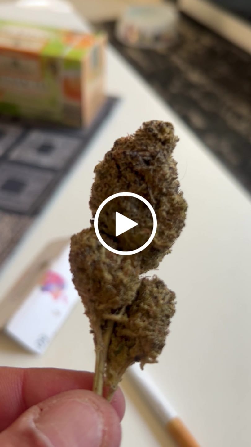 Customer video review of Northern Lights 9H-HHC