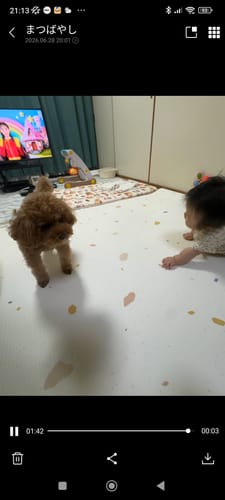 Customer photo review of 【子育て支援大賞2025受賞商品】PARKLON やわらかクッションマット