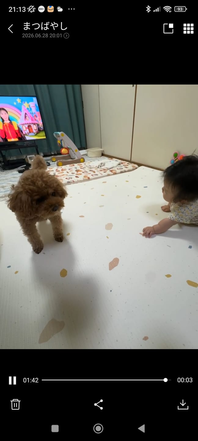 Customer photo review of 【子育て支援大賞2025受賞商品】PARKLON やわらかクッションマット