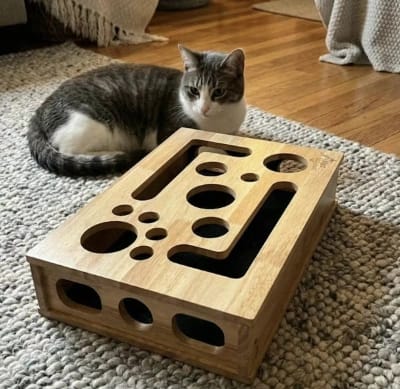 Kundenbewertung mit Foto zu Jagdbox