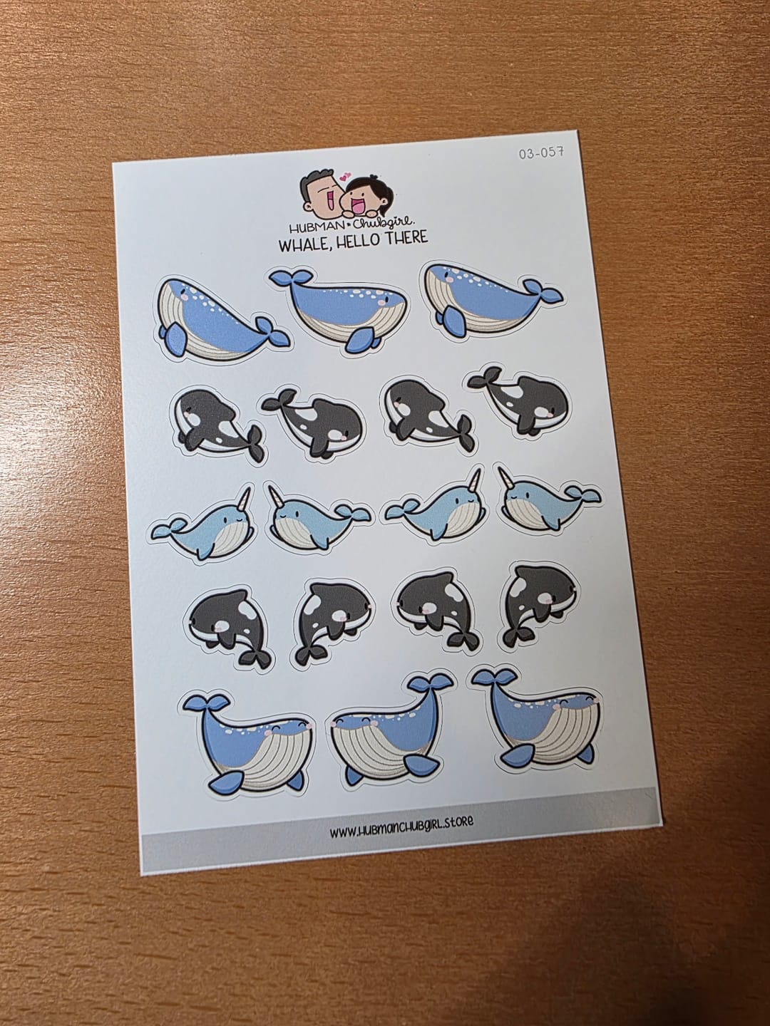 Customer photo review of Whale, Hello There Planner Stickers