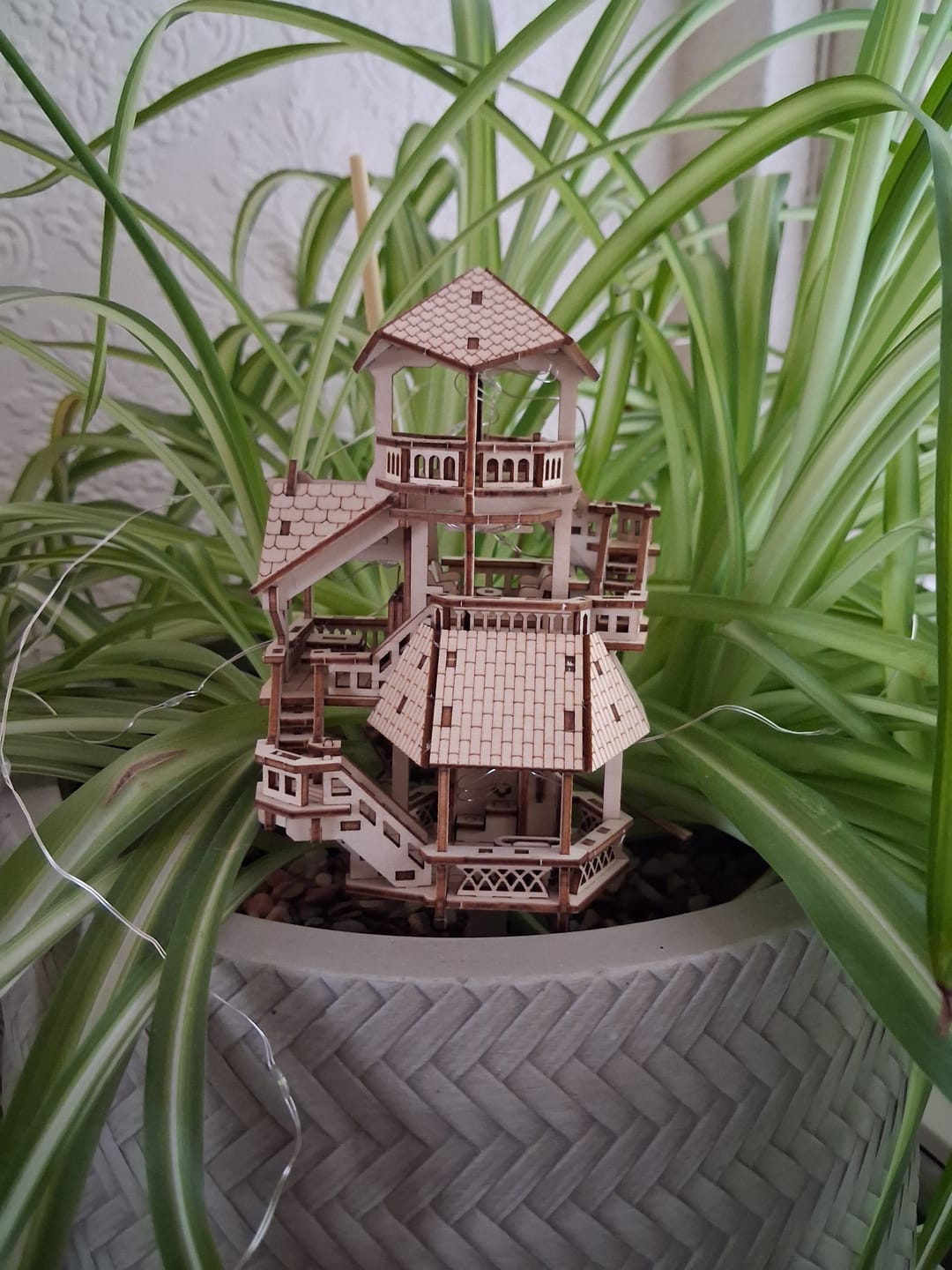 Customer photo review of Forest Cottage