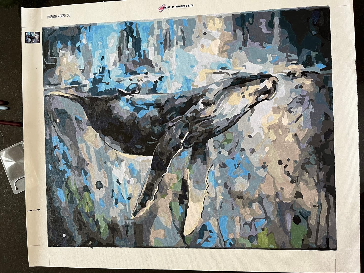 Customer photo review of Whale Diy Paint By Numbers Kits WM-424