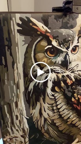 Customer video review of Owl III