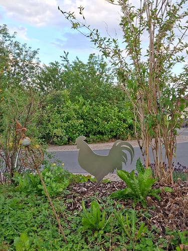 Customer photo review of Gartenstecker Hahn