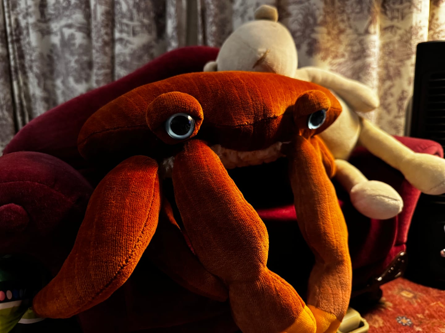 Customer photo review of The Mini Crab
