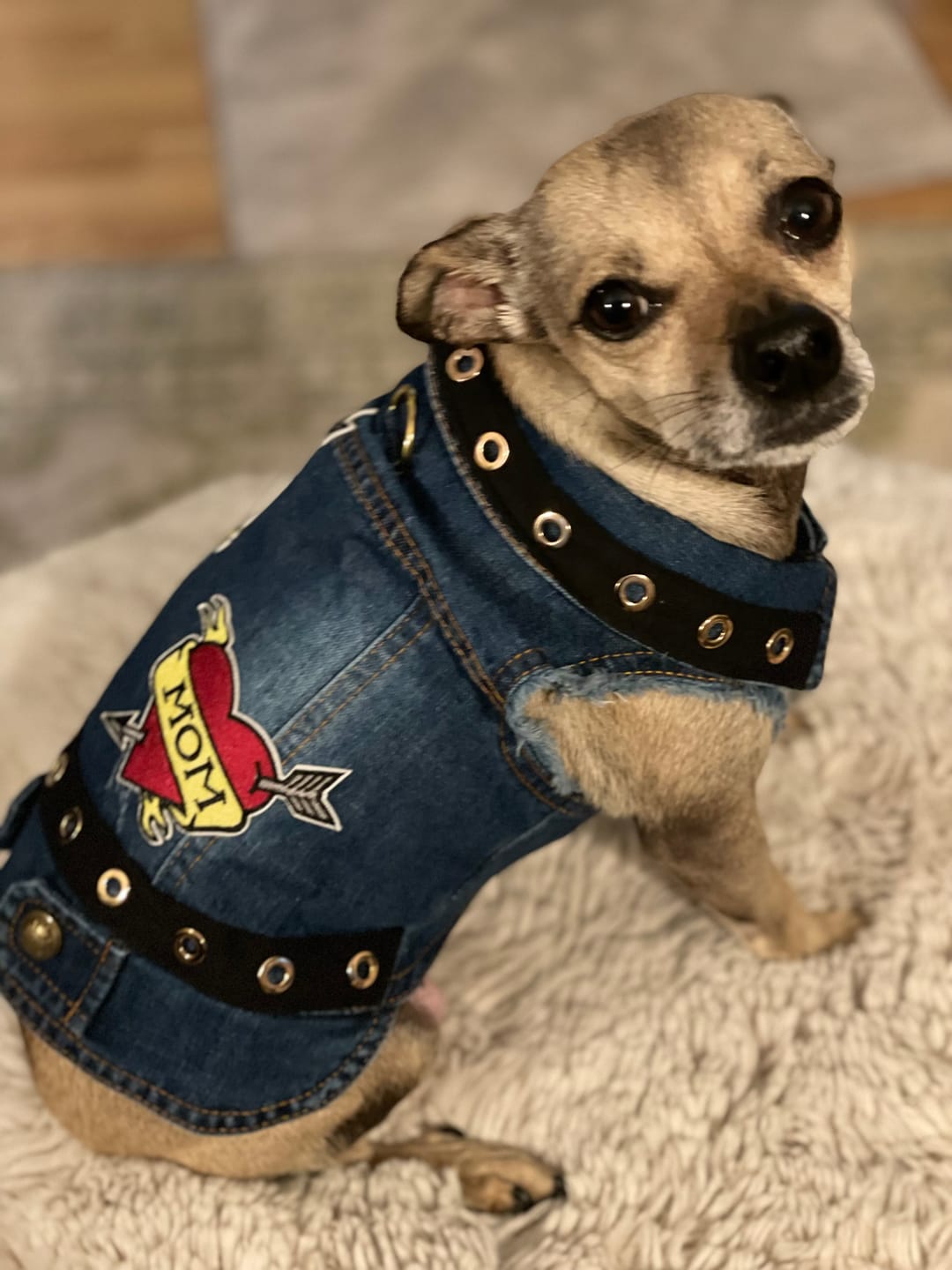 Customer photo review of Love Mom / Love Dad Vest