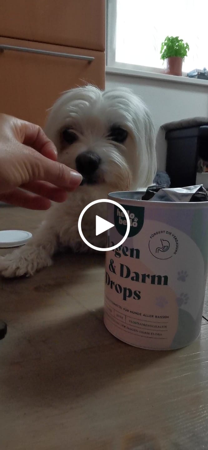 Customer video review of Magen-Darm Drops