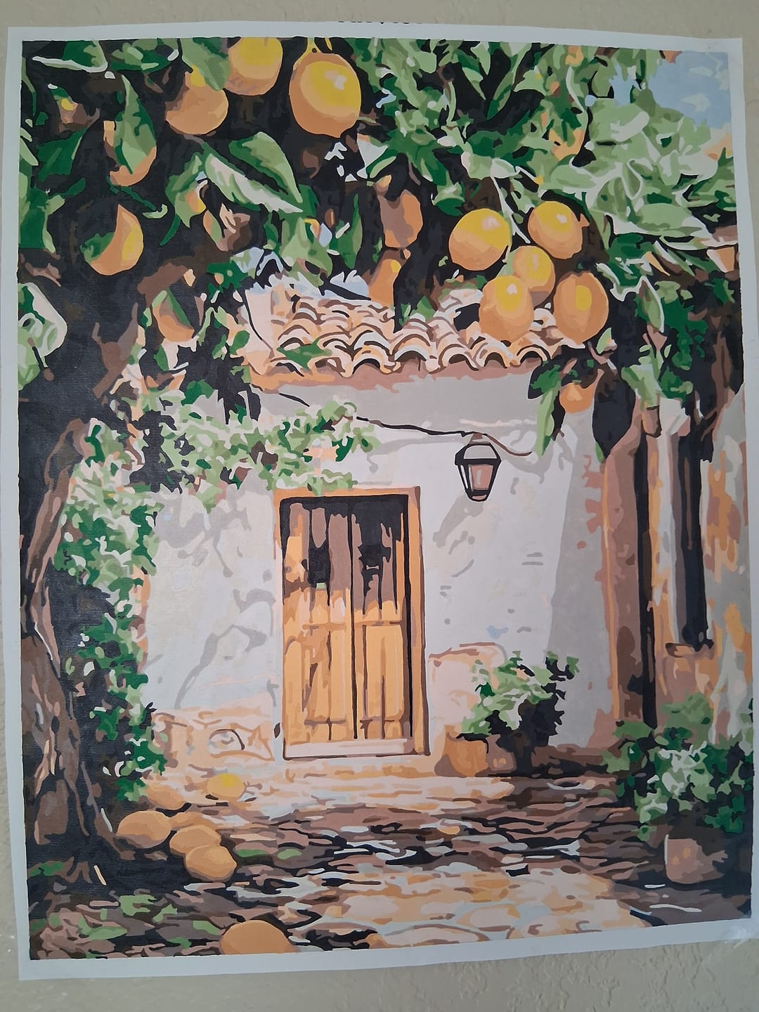Customer photo review of Lemon Yard
